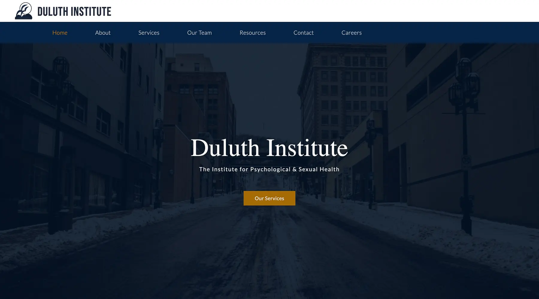 Duluth Institute homepage